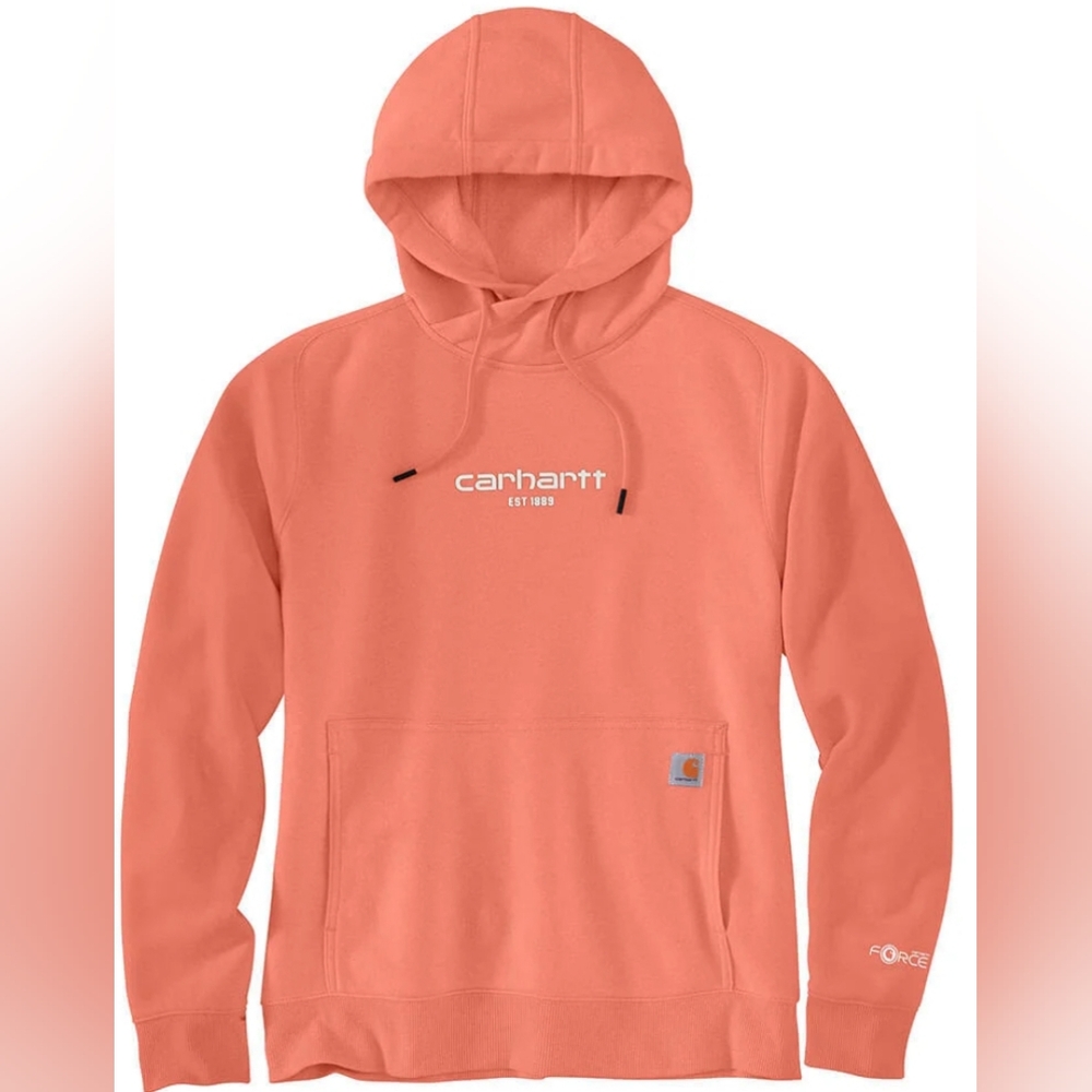 Carhartt Force® Relaxed Fit Lightweight Graphic Hoodie Size M NWOT MSRP $59.99